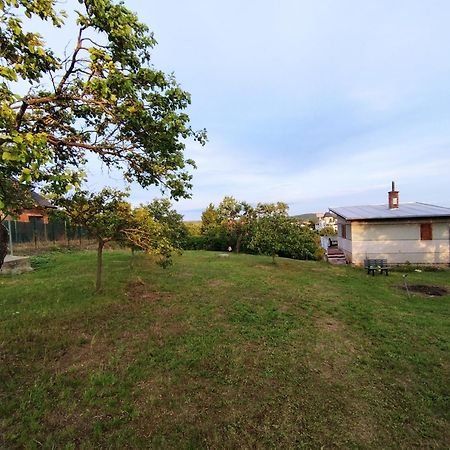 Wine House Znojmo Villa Exterior photo
